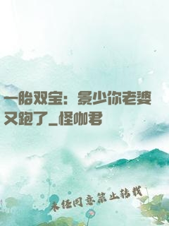 一胎双宝：景少你老婆又跑了