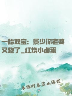 一胎双宝：景少你老婆又跑了