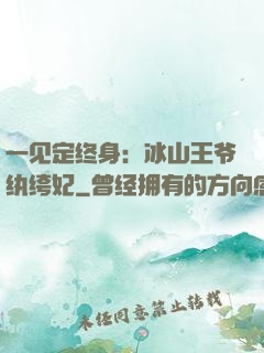 一见定终身：冰山王爷纨绔妃