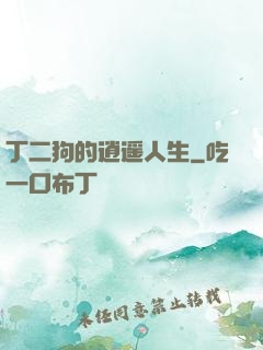 丁二狗的逍遥人生