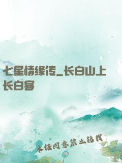 七星情缘传