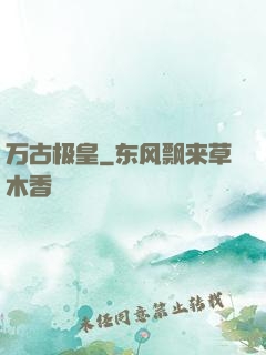 万古极皇