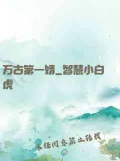 万古第一婿