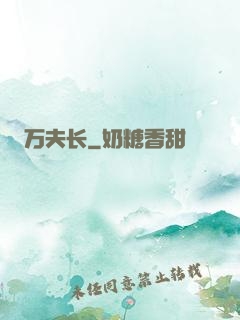 万夫长