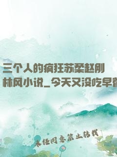 三个人的疯狂苏柔赵刚林风小说