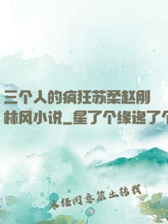 三个人的疯狂苏柔赵刚林风小说