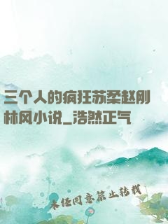 三个人的疯狂苏柔赵刚林风小说