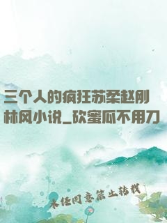 三个人的疯狂苏柔赵刚林风小说