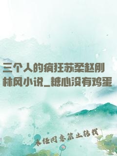 三个人的疯狂苏柔赵刚林风小说
