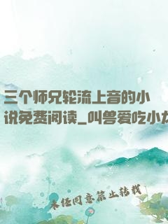 三个师兄轮流上音的小说免费阅读