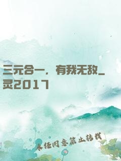 三元合一，有我无敌