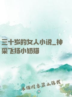 三十岁的女人小说