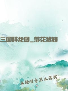 三国醉龙图