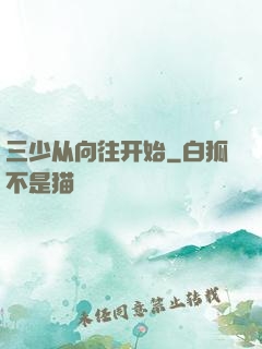 三少从向往开始