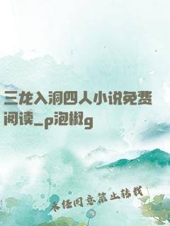 三龙入洞四人小说免费阅读