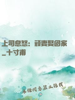 上司息怒：顽妻娶回家