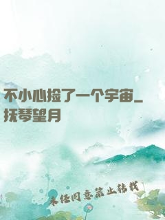不小心捡了一个宇宙