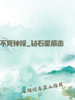 不死神探