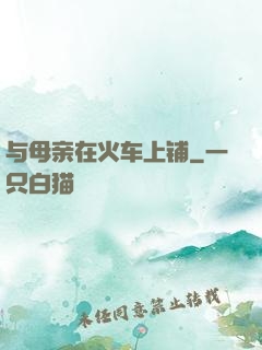 与母亲在火车上铺