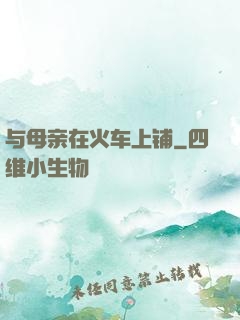 与母亲在火车上铺