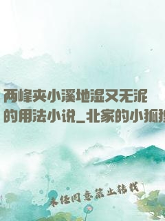 两峰夹小溪地湿又无泥的用法小说
