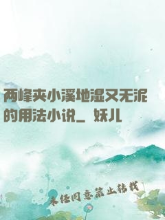 两峰夹小溪地湿又无泥的用法小说