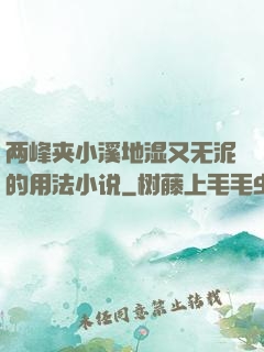 两峰夹小溪地湿又无泥的用法小说