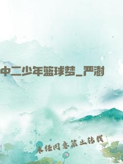 中二少年篮球梦
