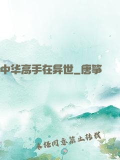中华高手在异世