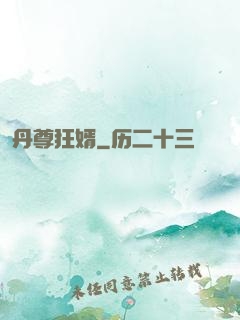 丹尊狂婿