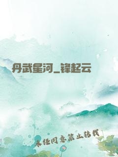 丹武星河