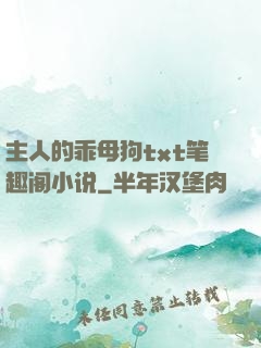 主人的乖母狗txt笔趣阁小说