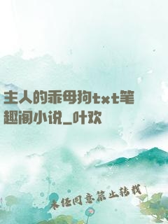 主人的乖母狗txt笔趣阁小说