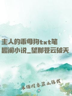 主人的乖母狗txt笔趣阁小说