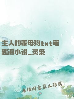 主人的乖母狗txt笔趣阁小说