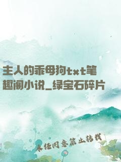 主人的乖母狗txt笔趣阁小说