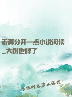乖再分开一点小说阅读