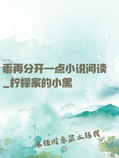 乖再分开一点小说阅读