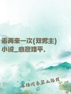 乖再来一次(双男主)小说