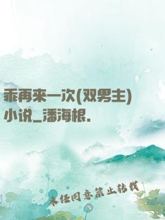 乖再来一次(双男主)小说