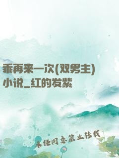 乖再来一次(双男主)小说