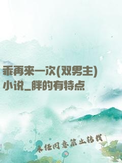 乖再来一次(双男主)小说