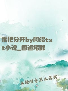 乖把分开by阿昭txt小说