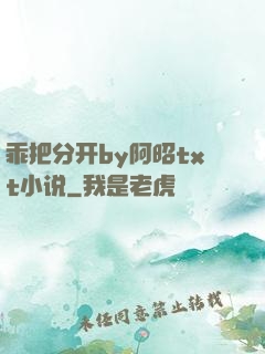 乖把分开by阿昭txt小说