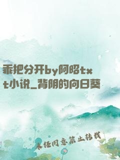 乖把分开by阿昭txt小说