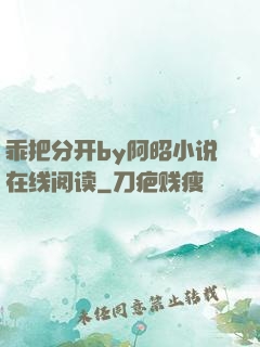 乖把分开by阿昭小说在线阅读
