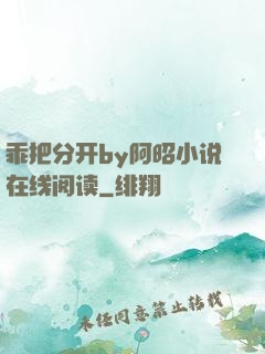 乖把分开by阿昭小说在线阅读
