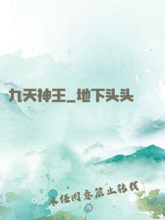 九天神王