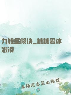 九转星陨诀