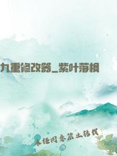 九重修改器
